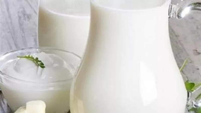 شرب الحليب وتناول منتجات الألبان لا يطيل العمر .. دراسة تؤكد