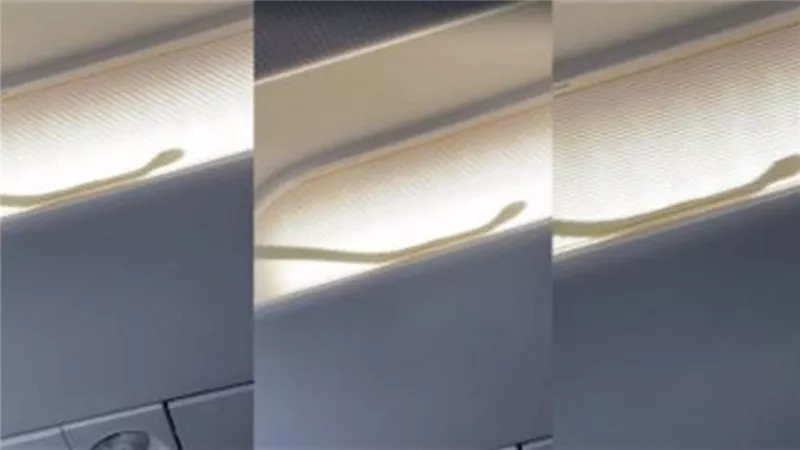 تحويل مسار رحلة جوية من كوالالمبور بسبب ثعبان.. فيديو