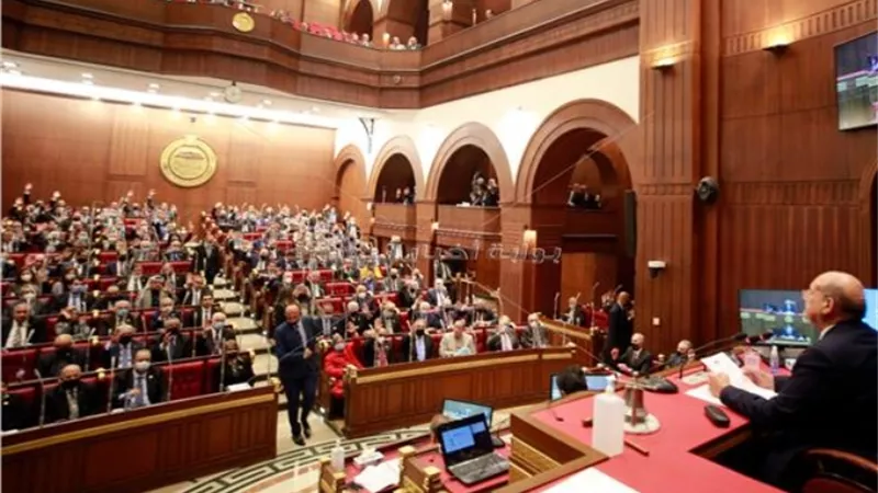 الشيوخ يوافق على الباب الخاص بتفتيش العمل والضبطية القضائية