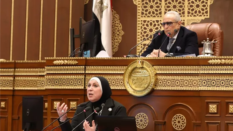 نيفين جامع: حصر كافة قطع الأراضي المخصصة للمستثمرين.. وجاري سحبها من غير الجادين
