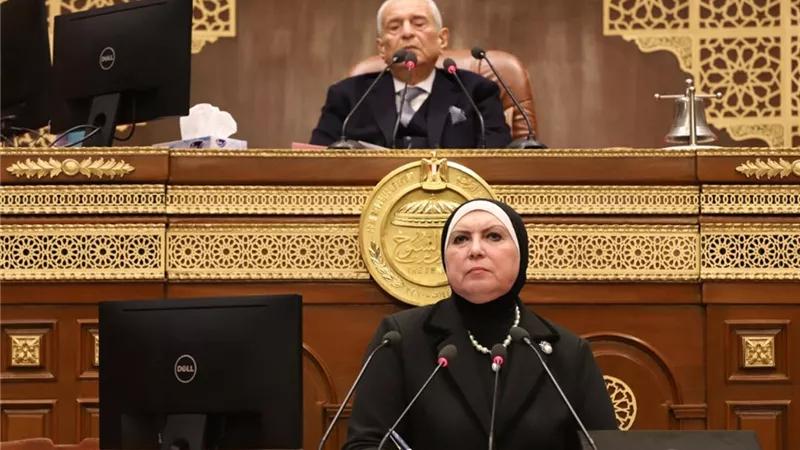 نيفين جامع: توافر البنية التحتية المؤهلة ركيزة اساسية لتحقيق مستهدفات الدولة للتنمية الصناعية