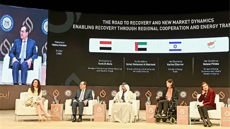 وزير الطاقة الإماراتى: يجب على الجميع التعاون فى دعم سوق الطاقة ليكون الغاز وقودا انتقاليا