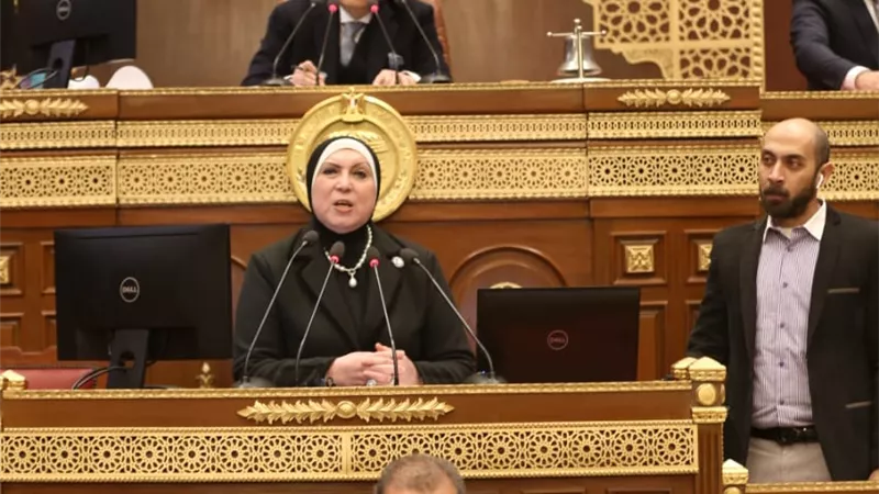 نيفين جامع: تعميق التصنيع المحلى للمنتج المصرى على رأس أولويات خطة عمل الحكومة