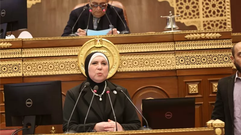 وزيرة الصناعة: تشكيل لجنة لحل كافة مشاكل تأخر منح الأراضي الصناعية للمستثمرين