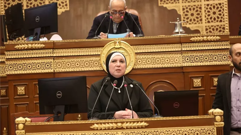 وزيرة الصناعة أمام مجلس الشيوخ:حريصون على إحلال المنتج المصرى محل المستورد