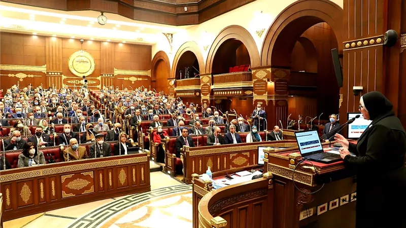 وكيلة مجلس الشيوخ: التصنيع المحلي يحقق سد احتياجات الأسواق و زيادة فرص العمل