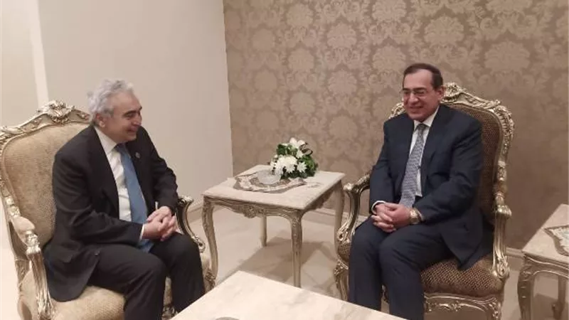 وزير البترول يبحث التعاون مع وكالة الطاقة الدولية بمجال الطاقة النظيفة