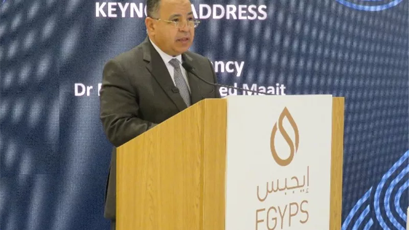 معيط: نجاحنا فى أول طرح للسندات الخضراء يعكس نظرة متفائلة من المستثمرين الأجانب لمستقبل مصر
