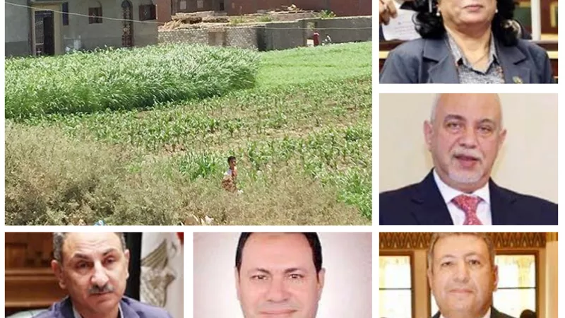 النواب: ننتظر مشروع القانون الجديد.. لمصادرة المباني المقامة علي أرض زراعية