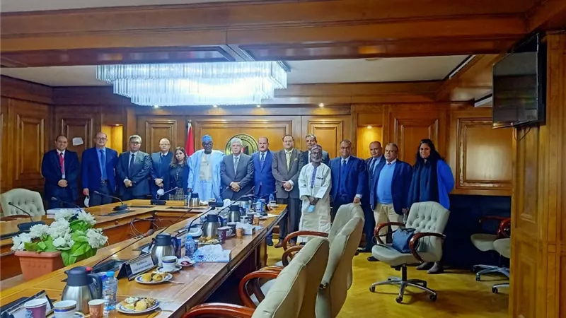 التعليم العالي: مقترح مصري لتوحيد الجهود البحثية بين الدول الإفريقية