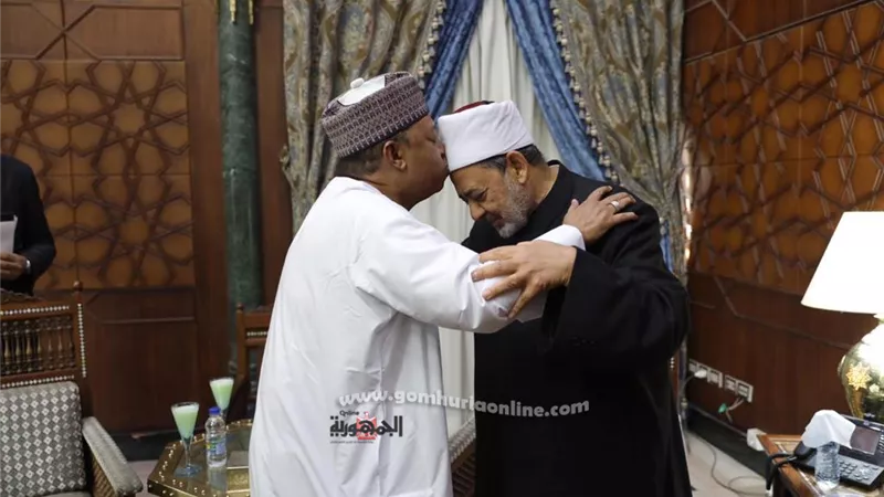 شيخ الأزهر يؤكد العلاقة بين الإنسان والإنسان علاقة تعاون وتعارف وليست علاقة خلاف وصراع