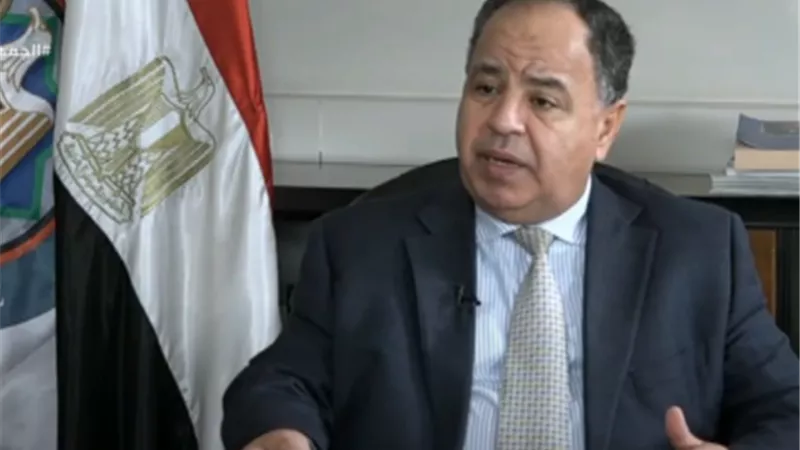 وزير المالية: 275 جنيها الحد الأدنى لزيادة الأجور هذا العام.. فيديو