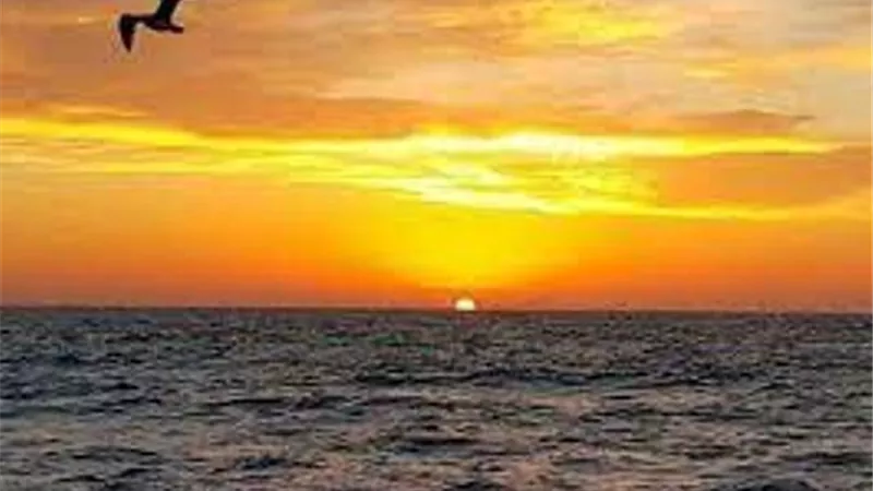 موعد شروق الشمس اليوم الجمعة 18-2-2022
