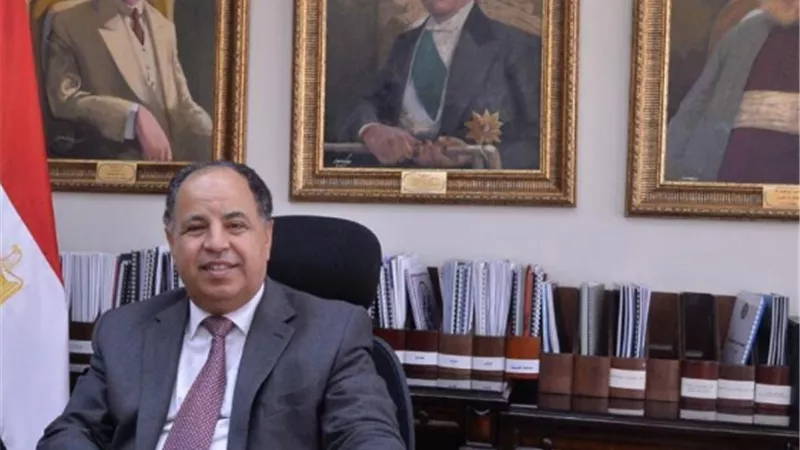 وزير المالية :التنمية.. أكبر ضمانة لتوفير فرص العمل وتحسين معيشة المواطنين