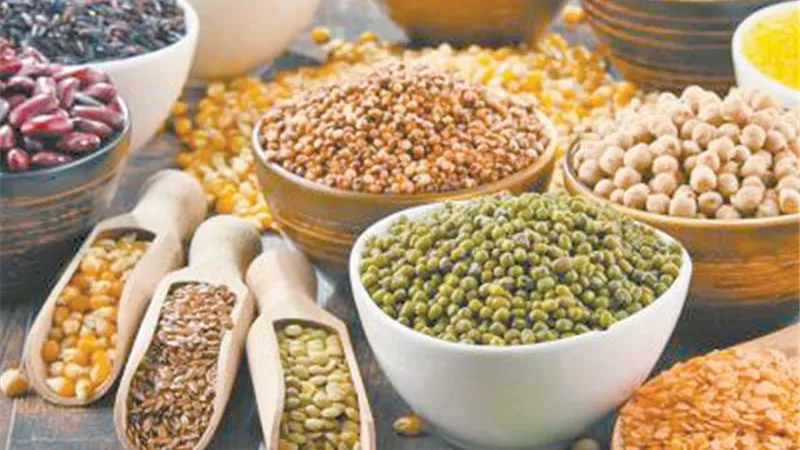 خبيرة تغذية روسية: البقوليات والمكسرات تفيد العقل وتجعل البشرة أكثر نضارة