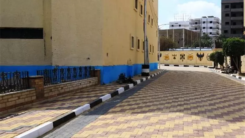 تجميل ورفع كفاءة محيط سينما 