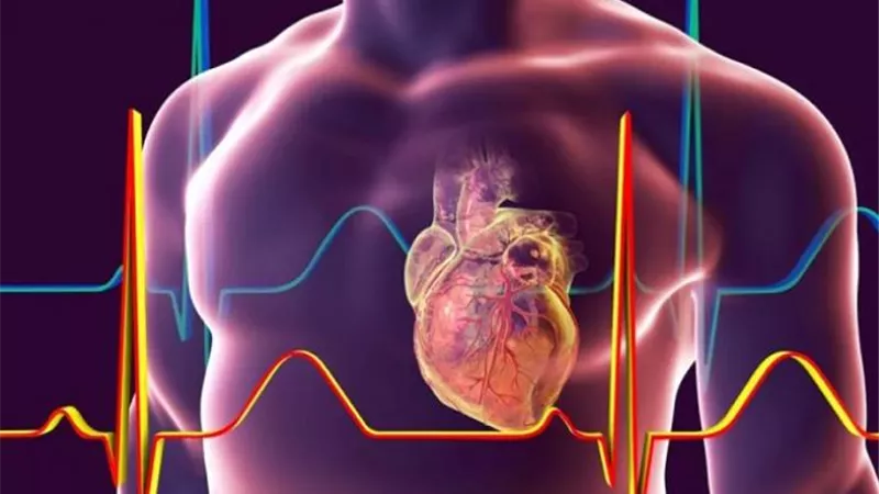 احذرها.. أعراض تدل على الإصابة بالتهاب عضلة القلب