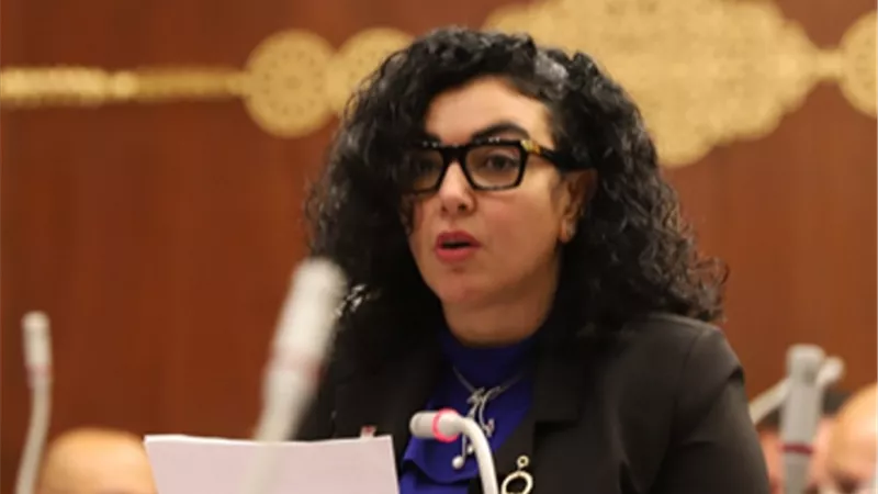 عضو العلاقات الخارجية بالشيوخ : مشاركة مصر في القمة الأوروبية – الأفريقية لها اثار ايجابية مع دول الاتحاد الاوروبي