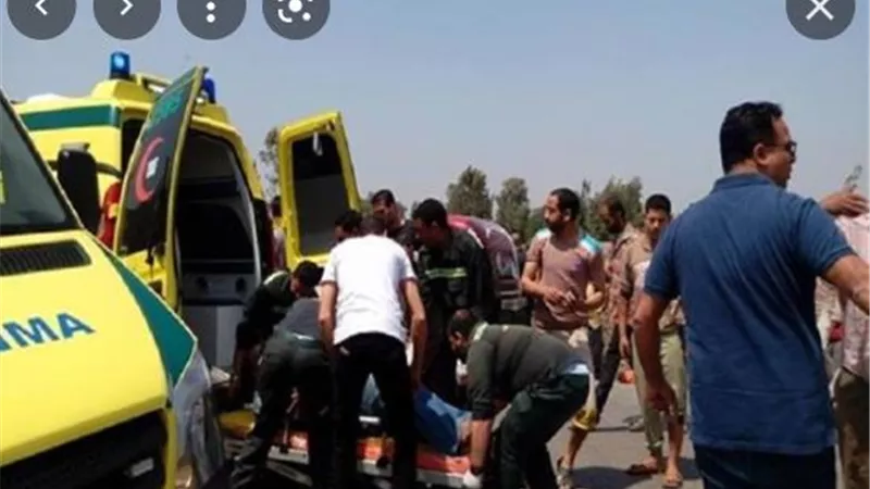 مصرع شخص صدمته سيارة مسرعة أمام ميت غمر بالدقهلية