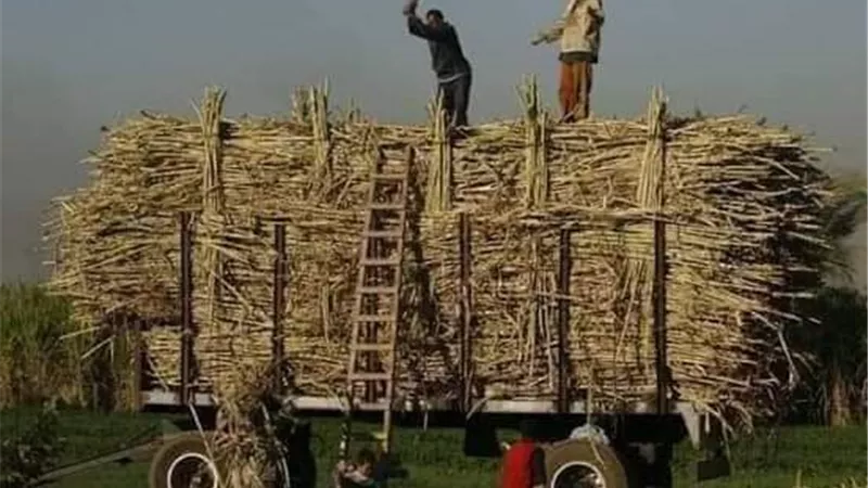 مصرع طفل صدمه قطار قصب في قنا