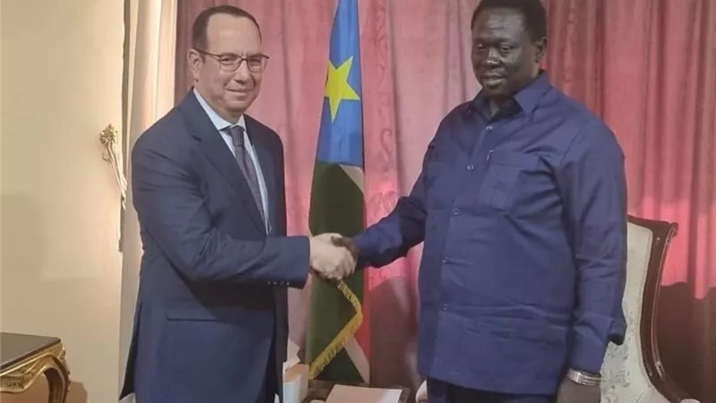 السفير المصري في جوبا يلتقي نائب رئيس جنوب السودان لقطاع الخدمات العامة