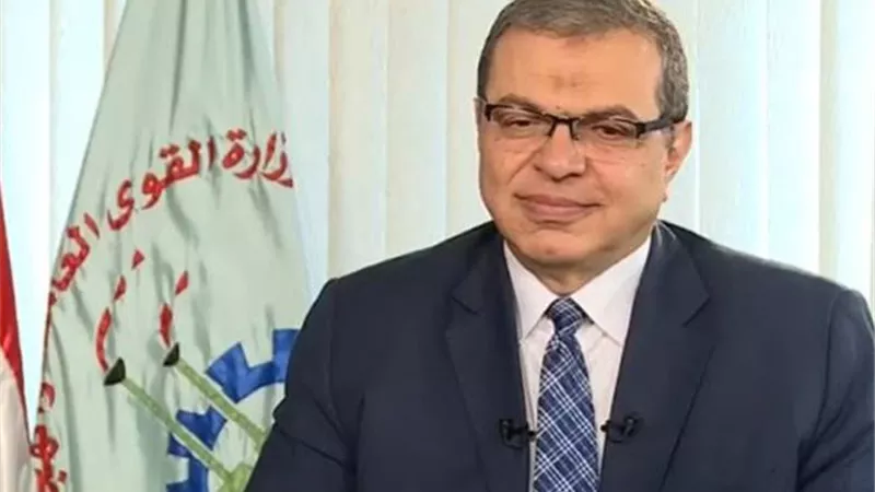 سعفان: حصر العمالة غير المنتظمة بمصانع الطوب الطفلي لعمل وثيقة تأمين تكافلي علي كل عامل