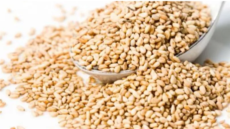 منها البيض والسمسم .. اطعمة غنية بالزنك والكالسيوم