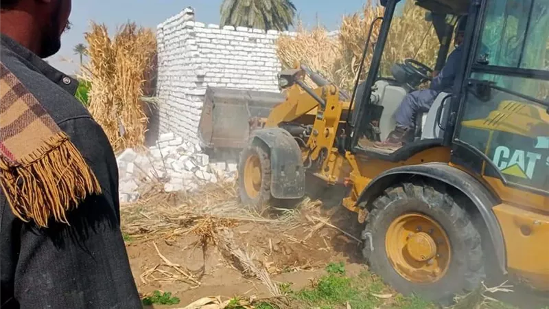 مديرية الزراعه ببنى سويف تلاحق المعتدين على الأراضى الزراعية
