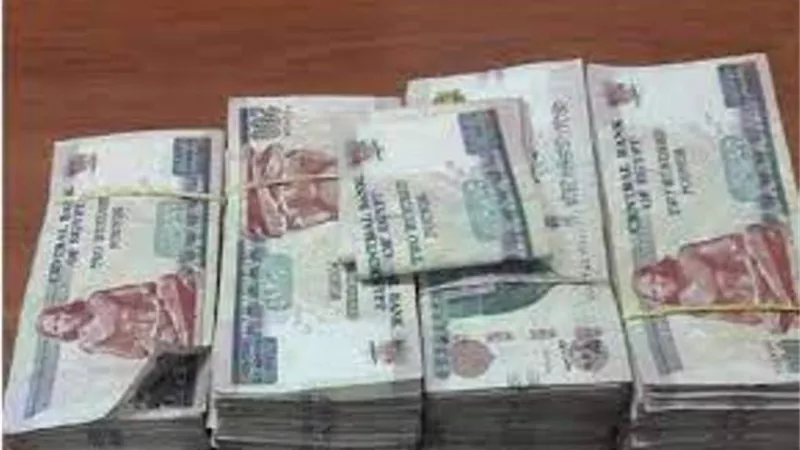 سقوط هارب من 24 سنة وغرامات بـ6 ملايين جنيه في القاهرة