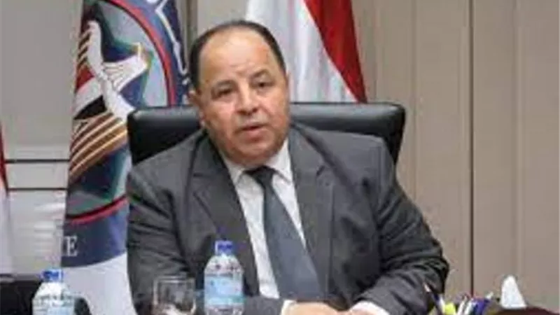 ٣ مليارات جنيه ضرائب ورسوم بجمارك «الدخيلة» و«دمياط» خلال يناير الماضى