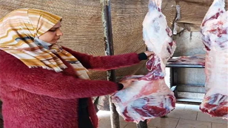 بيطري الشرقية يحرر5 محاضر مخالفة..ويضبط 505 كجم لحوم مجهولة المصدر