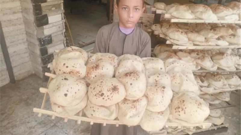 النواب..الغالبية تؤيد تغيير منظومة الخبز.. لوقف إهدار المليارات