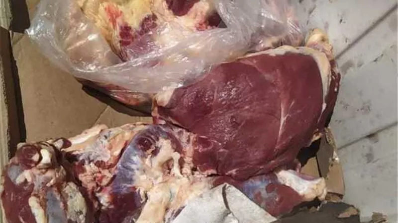 مداهمة مطعم يبيع لحوم مجهولة كوجبات للمواطنين في المقطم