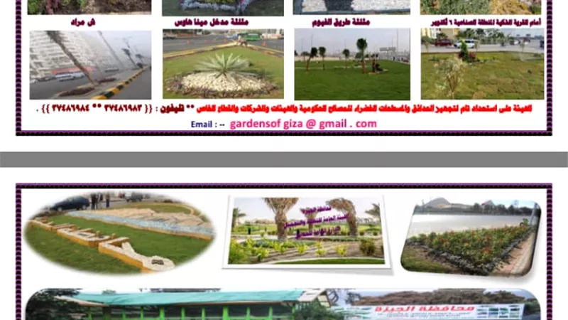 انطلاق معرض زهور الربيع غدا السبت بحديقة الاورمان