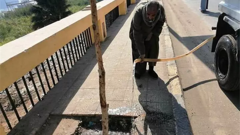 زراعة 2742 شجرة بحي شرق سوهاج ضمن مبادرة 