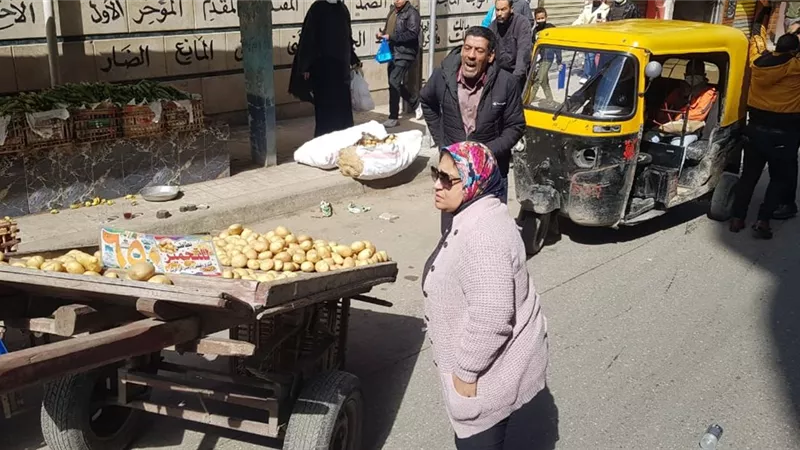 إزالة التعديات والإشغالات والتحفظ على 290 إشغال متنوع بأحياء الاسكندرية