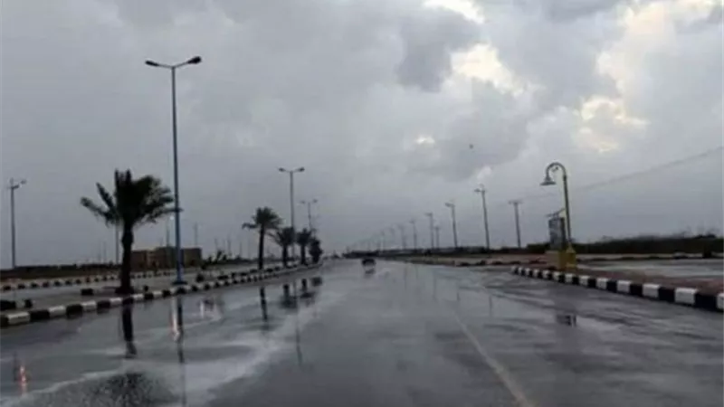 الأرصاد الجوية تكشف تفاصيل طقس اليوم.. وتحذر من سقوط أمطار على تلك المناطق