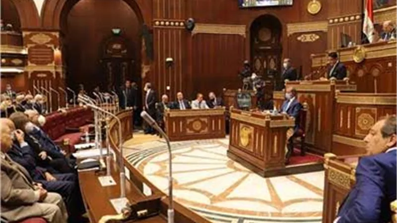 الشيوخ يوافق مبدأيا علي تقرير المالية بشان مشروع قانون التامين الموحد