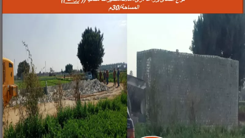 محافظة الجيزة تزيل ٢٥ حاله تعدي علي الاراضي الزراعية واملاك الدولة بالصف ومنشأة القناطر والعياط