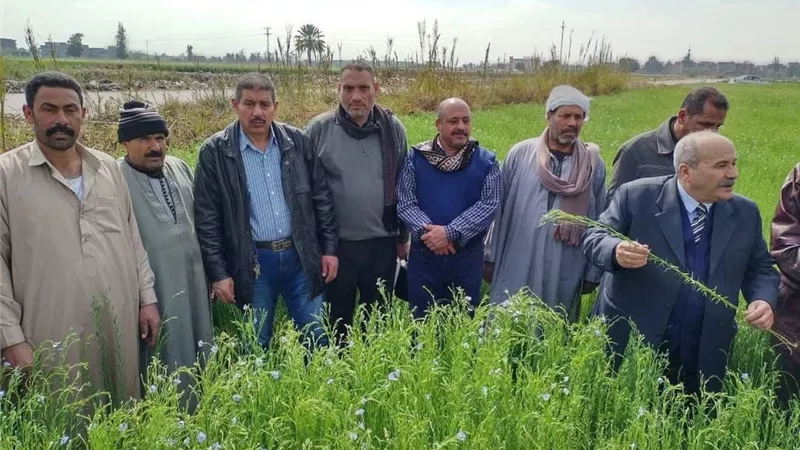 زراعة الشرقية تُنفذ يوم حقلي ارشادي لمزارعى كراديس وأبومتنا عن محصول الكتان