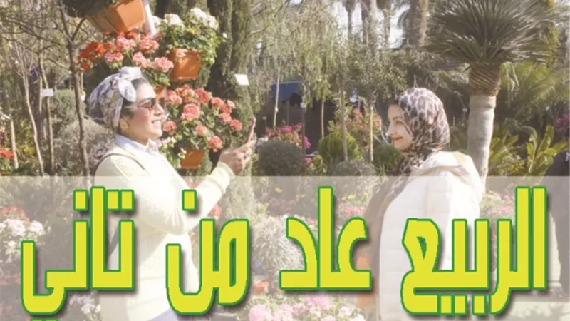 240 عارضاً .. وأنواعاً مختلفة ومتعددة بمعرض الزهور بحديقة الأورمان