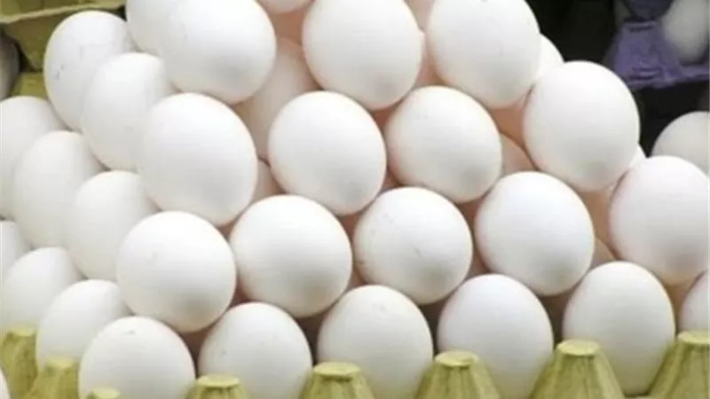 أسعار البيض اليوم الإثنين 28-2-2022