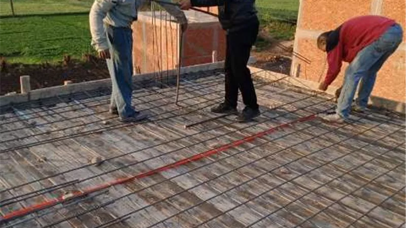 لجان دورية لرصد التعديات على الأراضى الزراعية بالشرقية