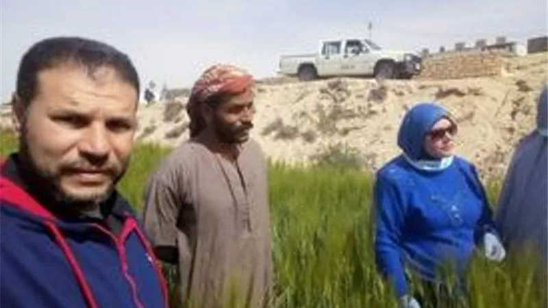 أسمدة ورقية ولقاءات حقلية لمزارعي الشعير بالإسماعيلية..صور