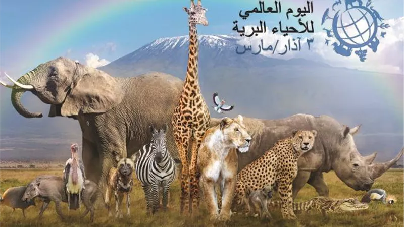 اليوم العالمى للحياة البرية