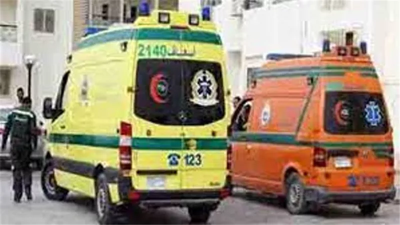 مصرع رضيع وشاب وإصابة 7 بينهم 4 من أسرة واحدة في حادث تصادم بالدقهلية