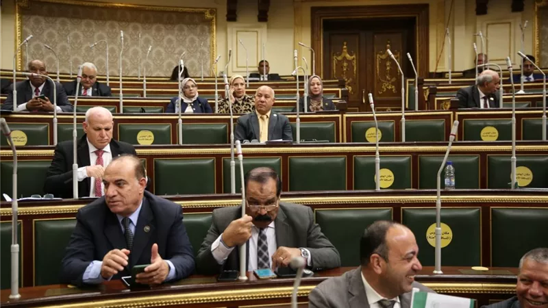 أيمن أبو العلا: نؤيد الحكومة في الحفاظ على الأمن القومي للبلاد