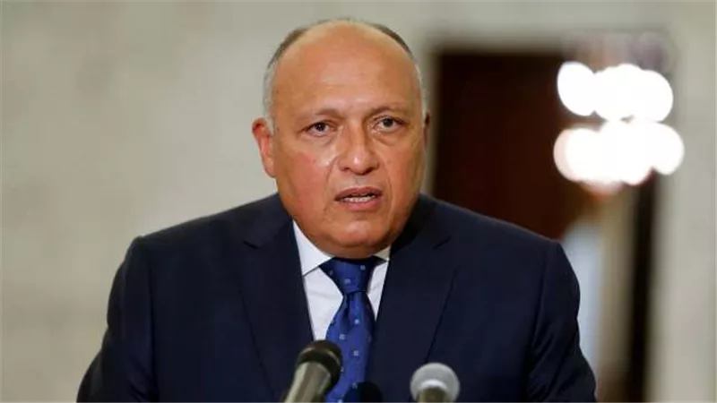 وزير خارجية كازاخستان يهنئ شكري بمناسبة مرور 30 عاما على العلاقات الدبلوماسية بين البلدين