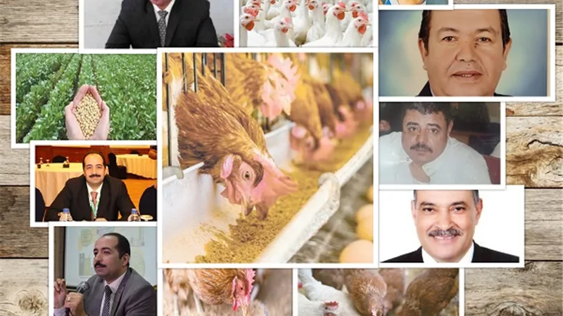لا يوجد بديل محلي.. 