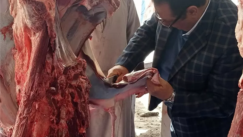 رئيس مدينة سفاجا يقطع ويزن اللحوم للمواطنين فى منفذ مبادرة معاً ضد الغلاء